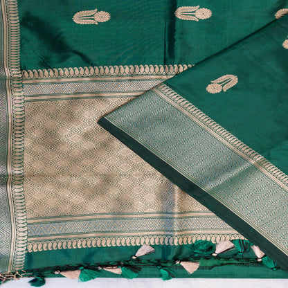 Green saree with gold patterns and border on a white background