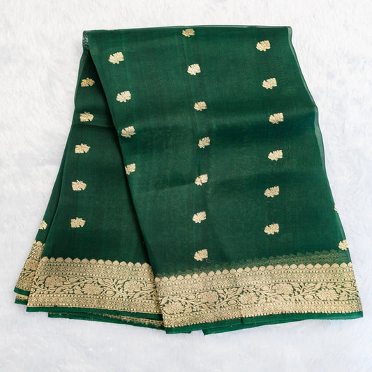 Green saree with gold patterns on a white background