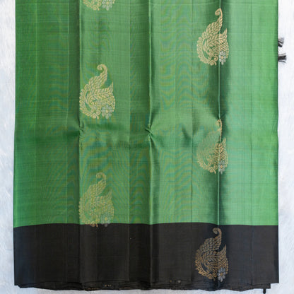Green and black saree with gold embroidery on a white background